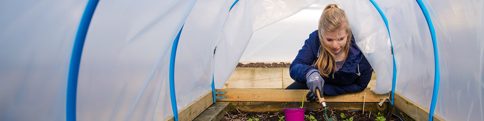 A student tends plants in a polytunnel
