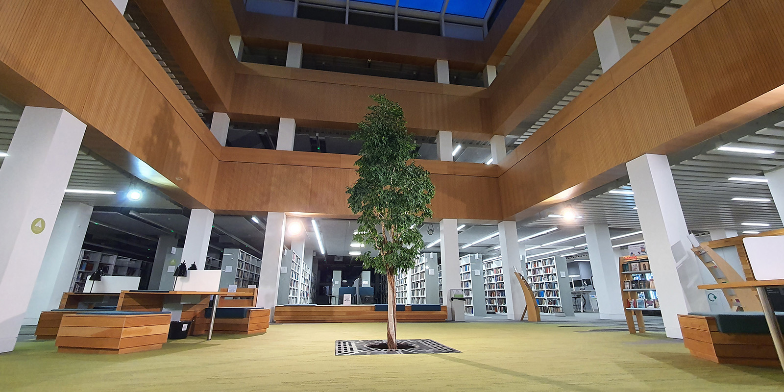 51福利 library foyer with the living tree in the centre.